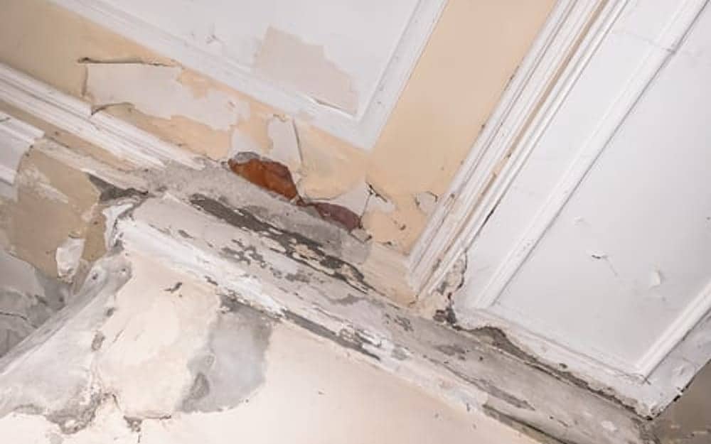 Water-damaged drywall ceiling and wall corner in need of professional repair